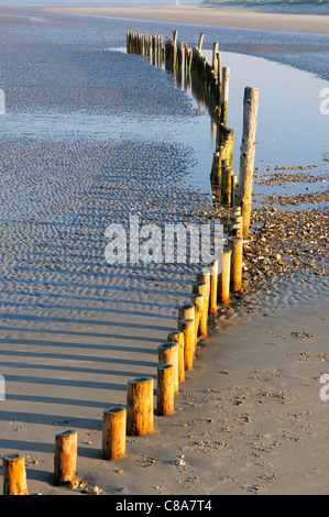 Modelli e riflessioni di groynes di legno West Wittering's spiaggia sabbiosa a bassa marea, Nr. Chichester, West Sussex, Inghilterra, UK Foto Stock