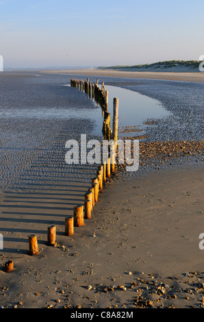 Modelli e riflessioni di groynes di legno West Wittering's spiaggia sabbiosa a bassa marea, Nr. Chichester, West Sussex, Inghilterra, UK Foto Stock