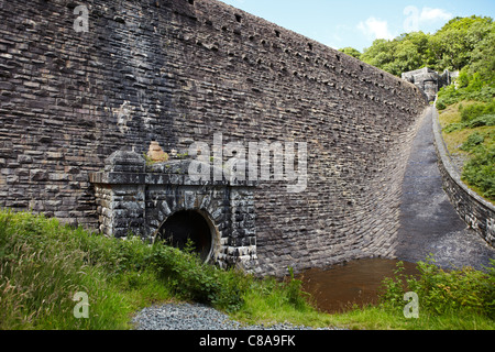 Craig Goch serbatoio, Elan Valley, Wales, Regno Unito Foto Stock