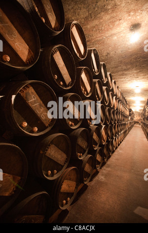 Vina Tondonia Bodega cantine con botti di rovere, in Haro La Rioja Spagna 110561 Spagna Foto Stock