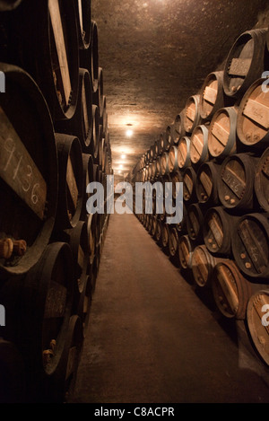 Lopez de Heredia Vina Tondonia Bodega cantine con botti di rovere, in Haro La Rioja Spagna 110563 Spagna Foto Stock