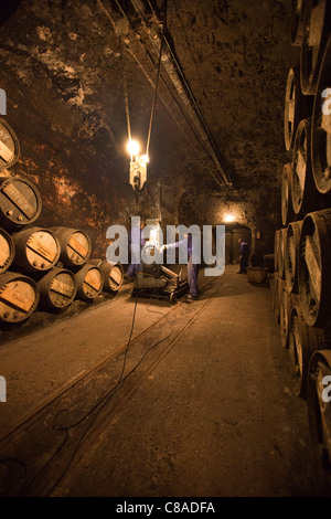 Lopez de Heredia Vina Tondonia Bodega cantine con i lavoratori e botti di rovere, in Haro La Rioja Spagna 110582 Spagna Foto Stock