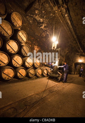 Lopez de Heredia Vina Tondonia Bodega cantine con botti di rovere e lavoratori in Haro La Rioja Spagna 110583 Spagna Foto Stock