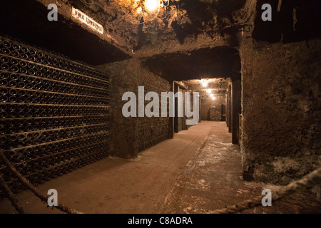 Vina Tondonia Bodega cantine con vecchie bottiglie scaffalature, in Haro La Rioja Spagna 110591 Spagna Foto Stock