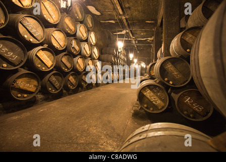 Vina Tondonia Bodega cantine con botti di rovere, in Haro La Rioja Spagna 110592 Spagna Foto Stock