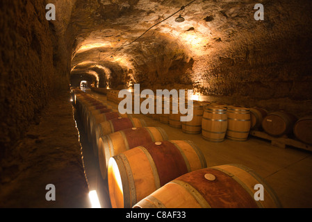 Barriques di rovere di vino rosso nelle cantine di Bodega Roda in Haro La Rioja Spagna 110654 Spagna Foto Stock