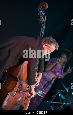 Eric Jacot suonare il basso in Mina Agossi trio esibirsi sul palco a Brecon Jazz Festival 2011 Foto Stock