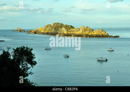 L'isola di Landes (L'île des Landes) è un santuario degli uccelli e botanico. Pointe du Grouin, Cancale, Brittany, Francia. Foto Stock