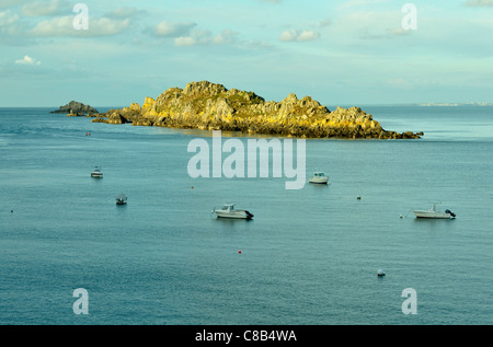 L'isola di Landes (L'île des Landes) è un santuario degli uccelli e botanico. Pointe du Grouin, Cancale, Brittany, Francia. Foto Stock