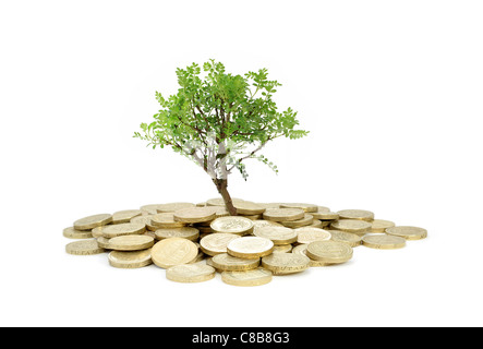 Albero che cresce da un mucchio di monete Foto Stock