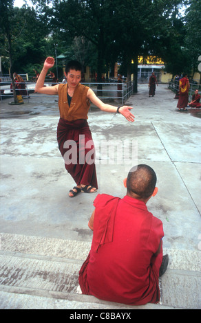 Monaci Tibetani si impegnano in 'battimani" del dibattito. Mcleod Ganj. Dharamsala. India. Foto Stock