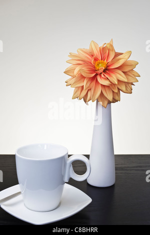 Dahlia in vaso bianco con tazza e piattino Foto Stock