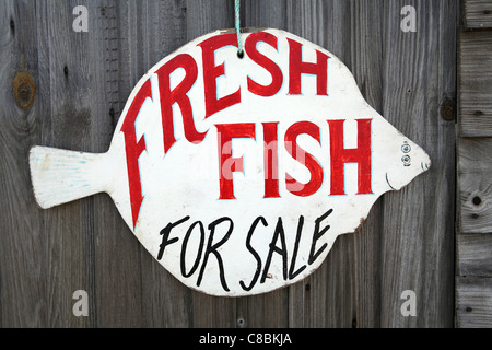 Dipinto a mano, 'Pesce Fresco in vendita", segno nella forma di un piatto di pesce, al di fuori del pescatore shack sulla spiaggia di Aldeburgh, Suffolk Foto Stock