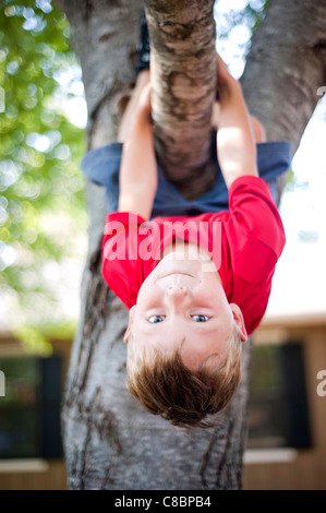 Un 5-anno-vecchio ragazzo appeso a testa in giù da un ramo di albero. Foto Stock