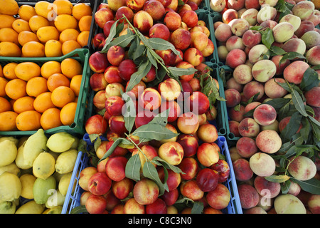 Per le pesche, le arance e i limoni in vendita presso la strada del mercato di Sulmona, Italia. Foto Stock