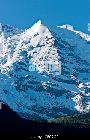 Silberhorn nelle Alpi Svizzere ricoperta di neve nel giugno poco dopo l'alba Foto Stock