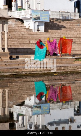 Le donne indiane loro essiccazione sari. Lago di Pushkar. Il Rajasthan. India Foto Stock