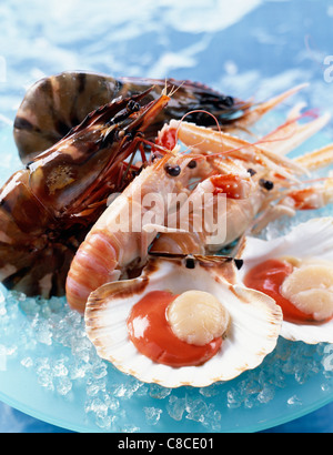 Materie gambas,gli scampi e capesante Foto Stock