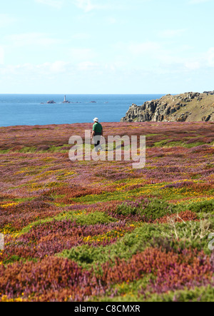 Un uomo che cammina alla testa Gwennap con il Longships Lighthouse in background vicino a Porthgwarra, Cornwall, Regno Unito Foto Stock