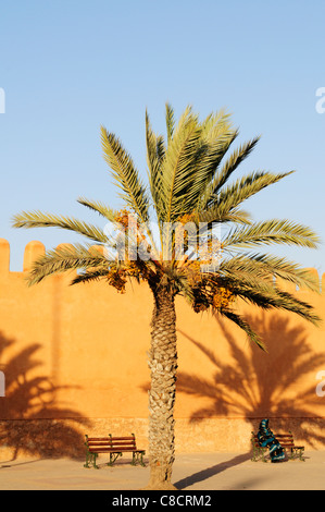 Le mura della città a fianco di Avenue Hassan II, Tiznit, Souss-Massa-Draa Regione, Marocco Foto Stock