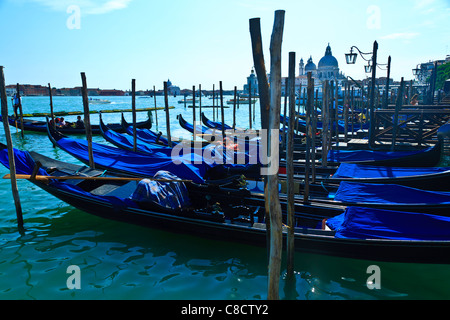 Gondole attraccate al poli di ormeggio Piazza San Marco Venezia Italia Foto Stock