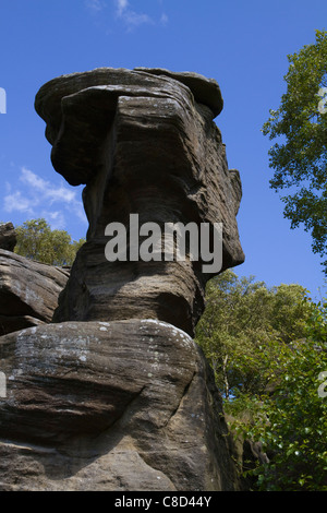 Una strana e meravigliosa formazione geologica a brimham rocks in nidderdale, Yorkshire di proprietà del National Trust Foto Stock