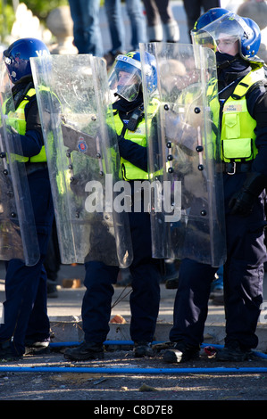 Dale Farm lo sfratto. Una linea di sommossa poliziotti formano un cordone di protezione mentre ufficiali giudiziari di iniziare il processo di sfratto. Foto Stock