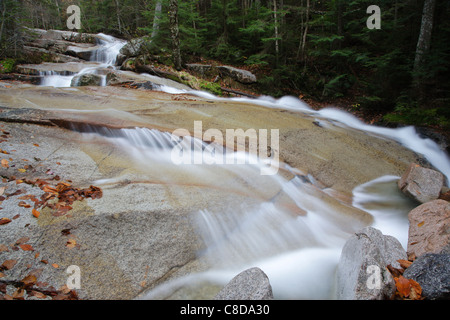 Walker Cascades durante i mesi autunnali. Situato lungo il camminatore Brook nel White Mountain National Forest del New Hampshire Foto Stock