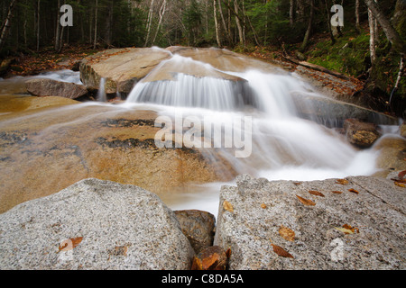 Franconia Notch State Park - Walker Cascades durante i mesi autunnali. Situato lungo il torrente Walker nelle White Mountains, NH Foto Stock