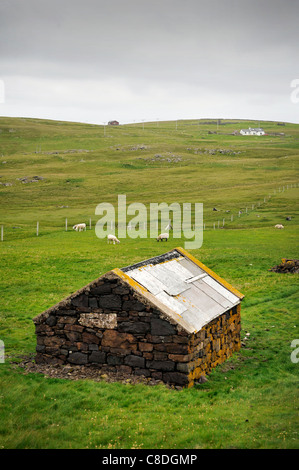 Vista di un casolare in pietra utilizzati per gli agnelli e le pecore al riparo in. Situato a Eshaness sulle isole Shetland, Scozia. Foto Stock