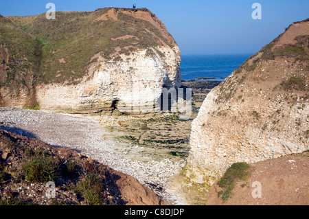 Chalk paesaggi costieri Flamborough Head Yorkshire Inghilterra Foto Stock