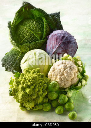 Cavoli assortiti Foto Stock