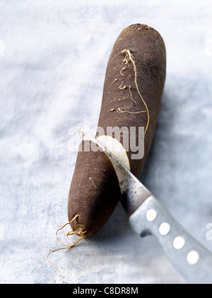 Rafano nero tagliati a metà Foto Stock