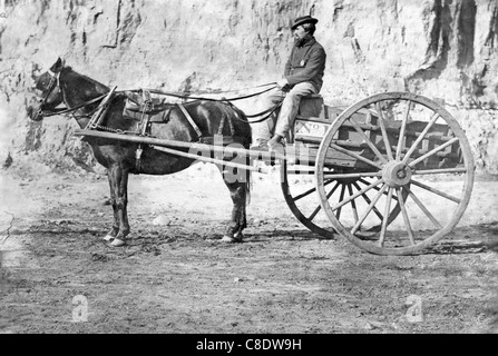 Uomo seduto in un cavallo disegnato carrello negli Stati Uniti durante la Guerra Civile, circa 1863 Foto Stock