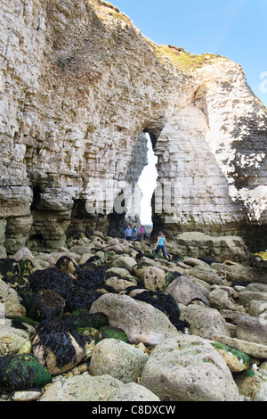 Vista del paesaggio di uno degli archi a bassa marea, nord sbarco, Flamborough Foto Stock