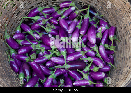 Melanzane fresche in vendita al mercato in stallo Varanasi, Benares, India Foto Stock