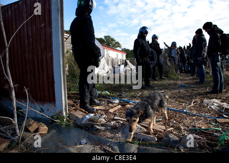 Dale Farm site prima di sfratto, Romany Gypsy e viaggiatore irlandese sito in Crays Hill, Essex, Regno Unito Foto Stock