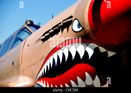 Naso arte su un Curtiss P-40 fighter presso il Warhawk Aviation Museum Foto Stock