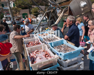 Maiorca pesca cattura con i turisti che guardano i pescatori che smistano imballaggio e scarico le loro catture al porto di pesca Cala Figuera Mallorca Spagna Foto Stock