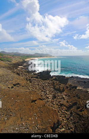 Vista della spiaggia sabbiosa Park da Halona Blowhole vicino a Honolulu lungo la costa sudorientale dell'isola hawaiana di Oahu in verticale Foto Stock