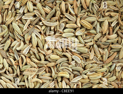 Macro Immagine di sfondo di semi di finocchio spice Foto Stock