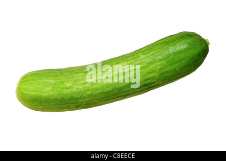 Verde cetriolo persiano isolati su sfondo bianco Foto Stock