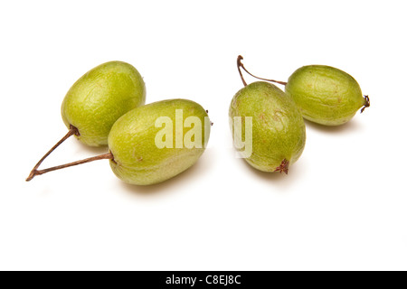 Kiwiberry o hardy kiwi isolato su un bianco di sfondo per studio. Foto Stock