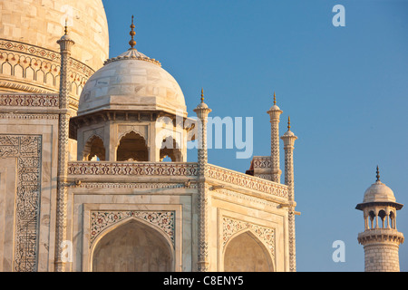 Il Taj Mahal mausoleo western visualizza dettagli, Uttar Pradesh, India Foto Stock