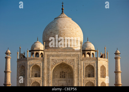 Il Taj Mahal mausoleo southern visualizza dettagli, Uttar Pradesh, India Foto Stock