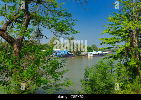 Mae Klong, Fiume, Kanchanaburi, Thailandia, Asia, alberi Foto Stock