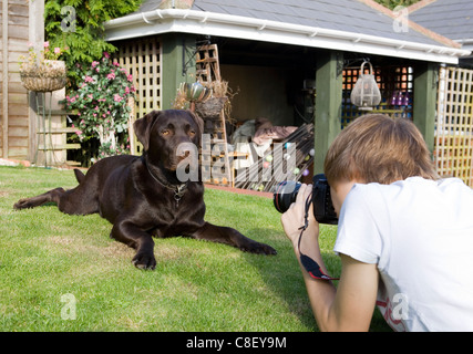 Fotografia di Pet ragazzo adolescente di scattare le foto di cane REGNO UNITO Foto Stock