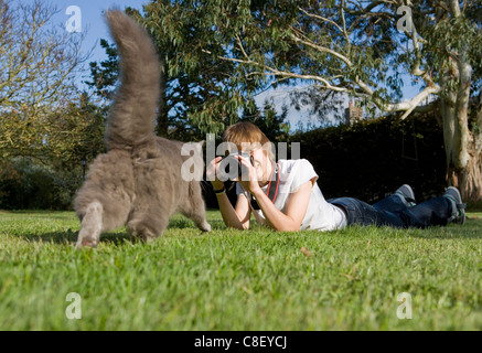 Fotografia di Pet ragazzo adolescente per scattare delle foto del gatto Regno Unito Foto Stock