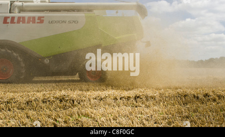 Raccolta del grano in Germania Foto Stock