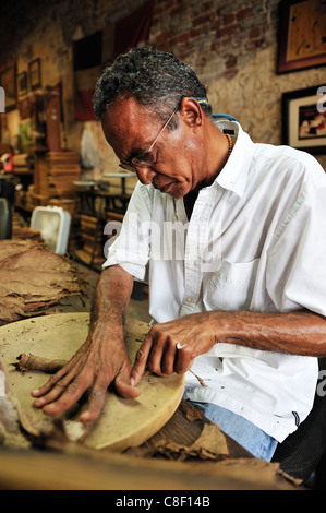 L'uomo, laminazione, un sigaro, foglie, fabbrica di sigari, New Orleans French Quarter, New Orleans, Louisiana, Stati Uniti d'America, Stati Uniti, America, sm Foto Stock